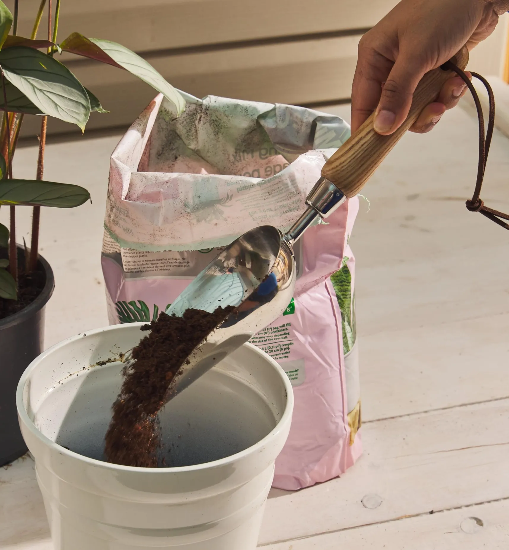 Online Stainless-Steel Scoop Indoor Gardening