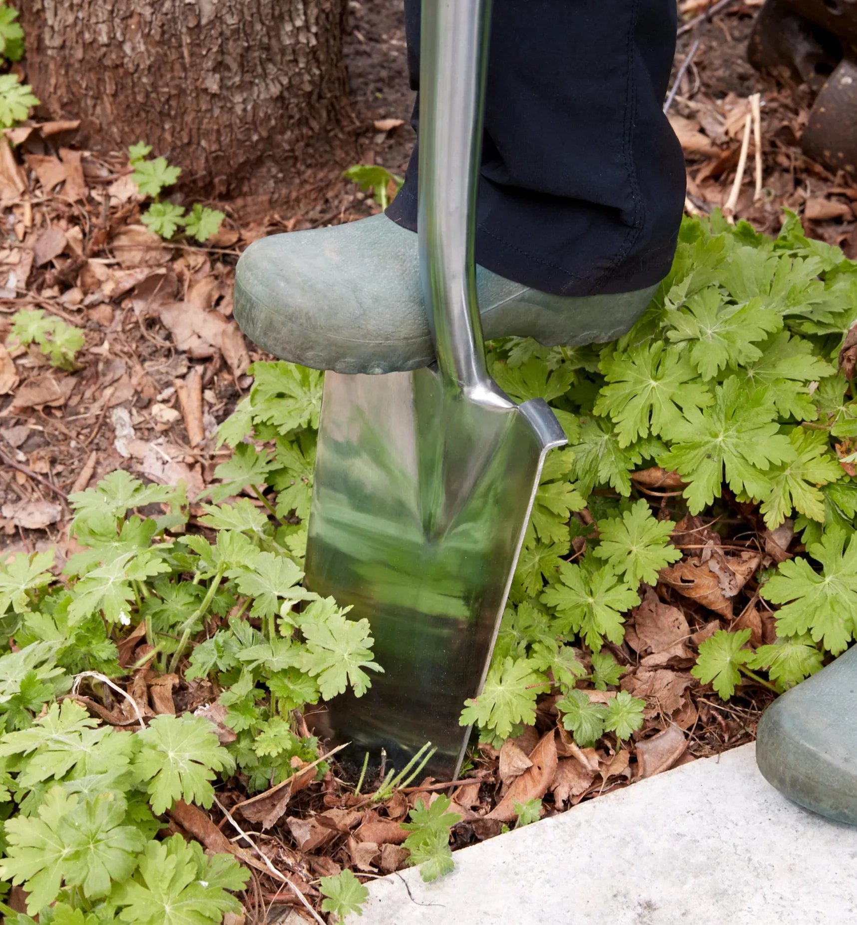 Clearance Start A Garden Bed Set Garden Care