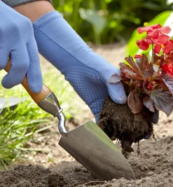 Clearance Start A Garden Bed Set Garden Care