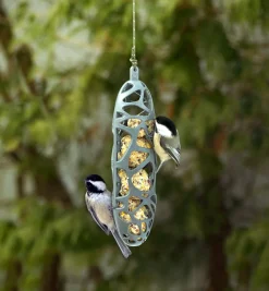 Online Suet Bird Feeder Birding