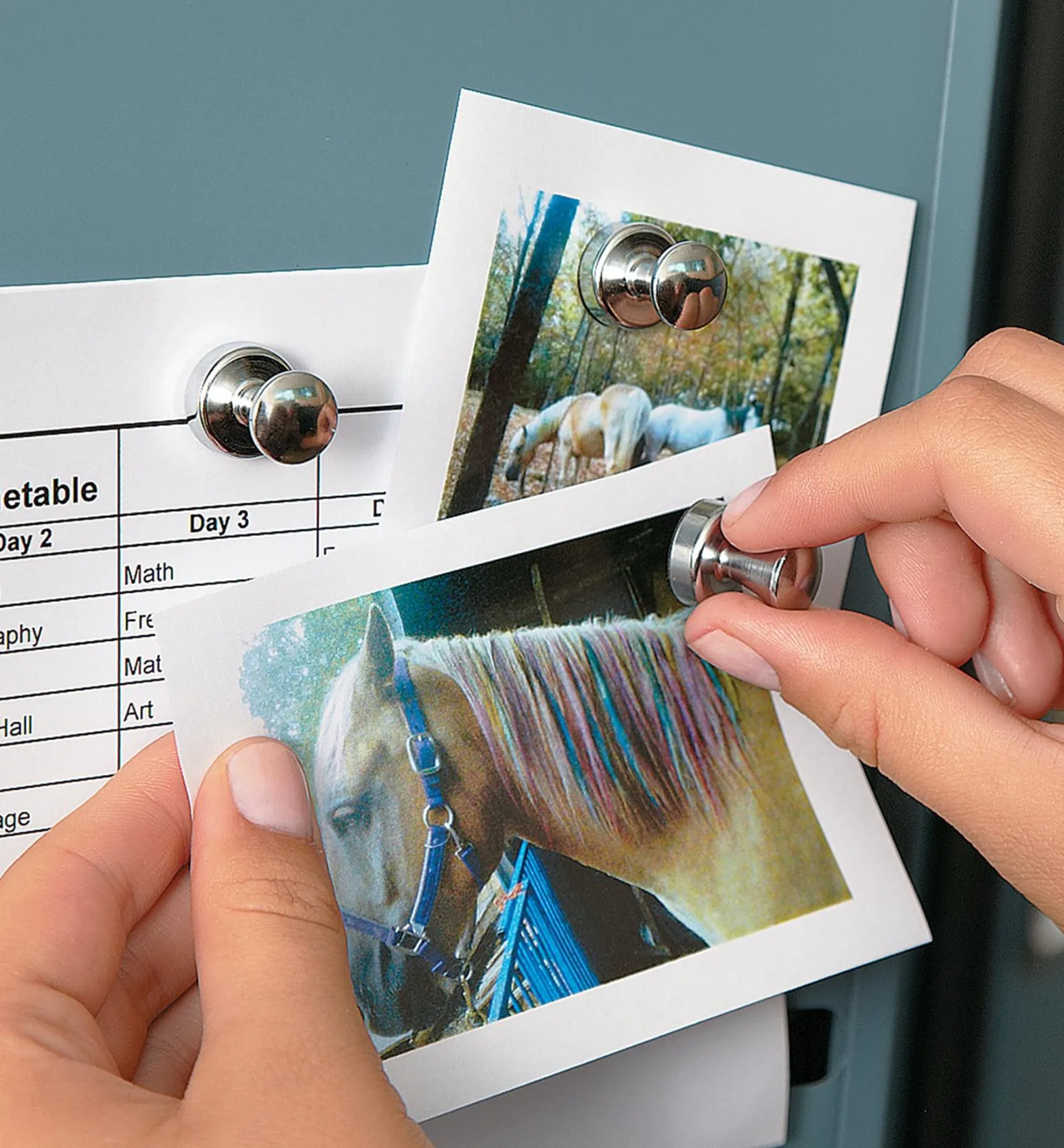 Clearance Super Magnet For The Fridge Magnets|Magnets