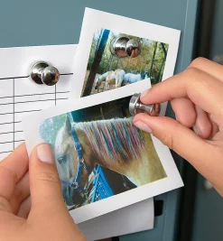 Online Super Magnets For The Fridge Magnets|Magnets