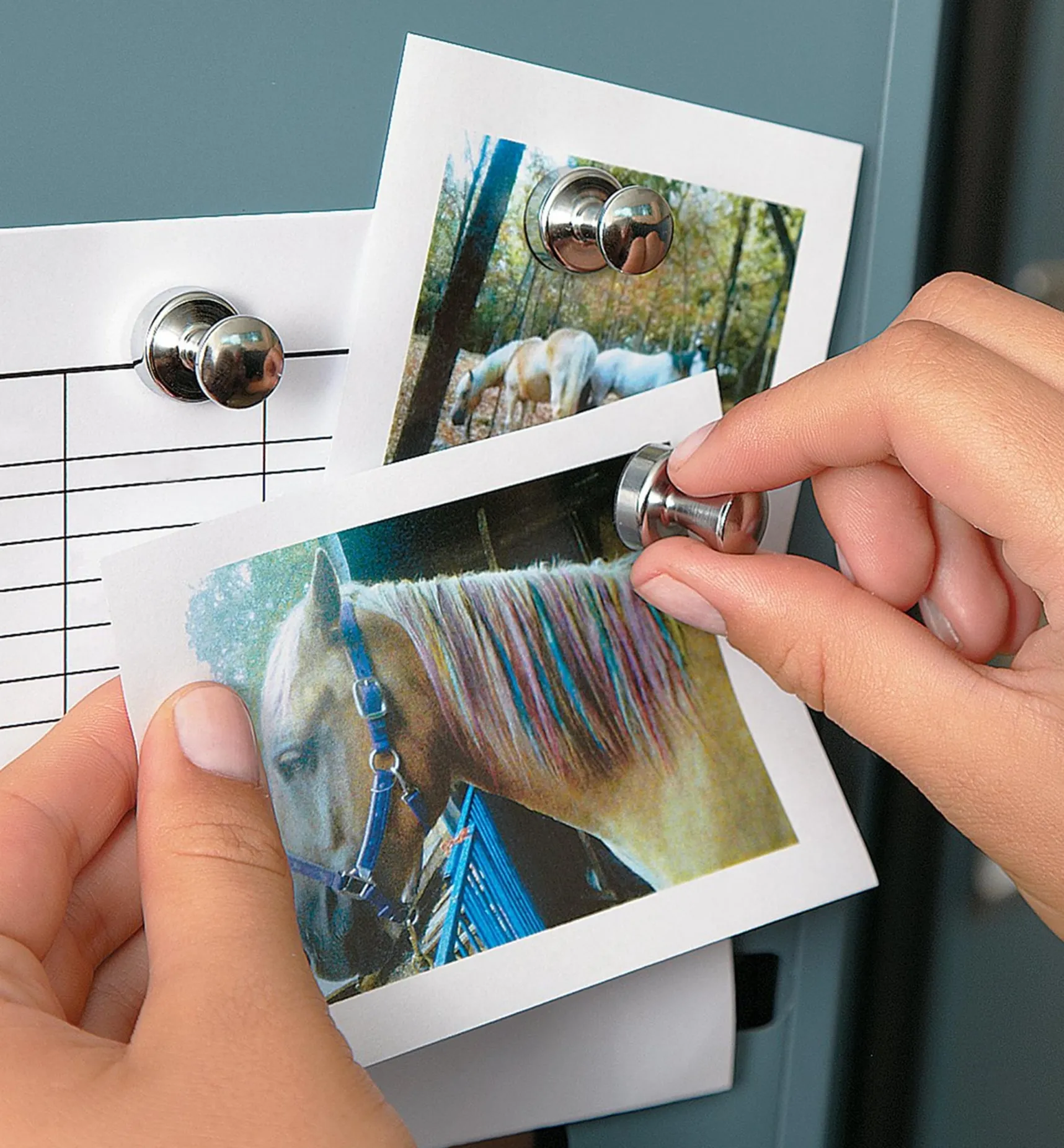 Online Super Magnets For The Fridge Magnets|Magnets