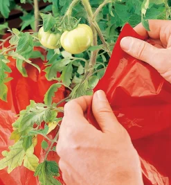 Sale Super Red Mulch Weeding