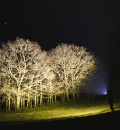 Sale Suprabeam Q7XRS Flashlight Lighting
