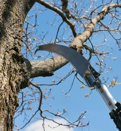 Outlet Telescoping Aluminum Pole Saw Saws