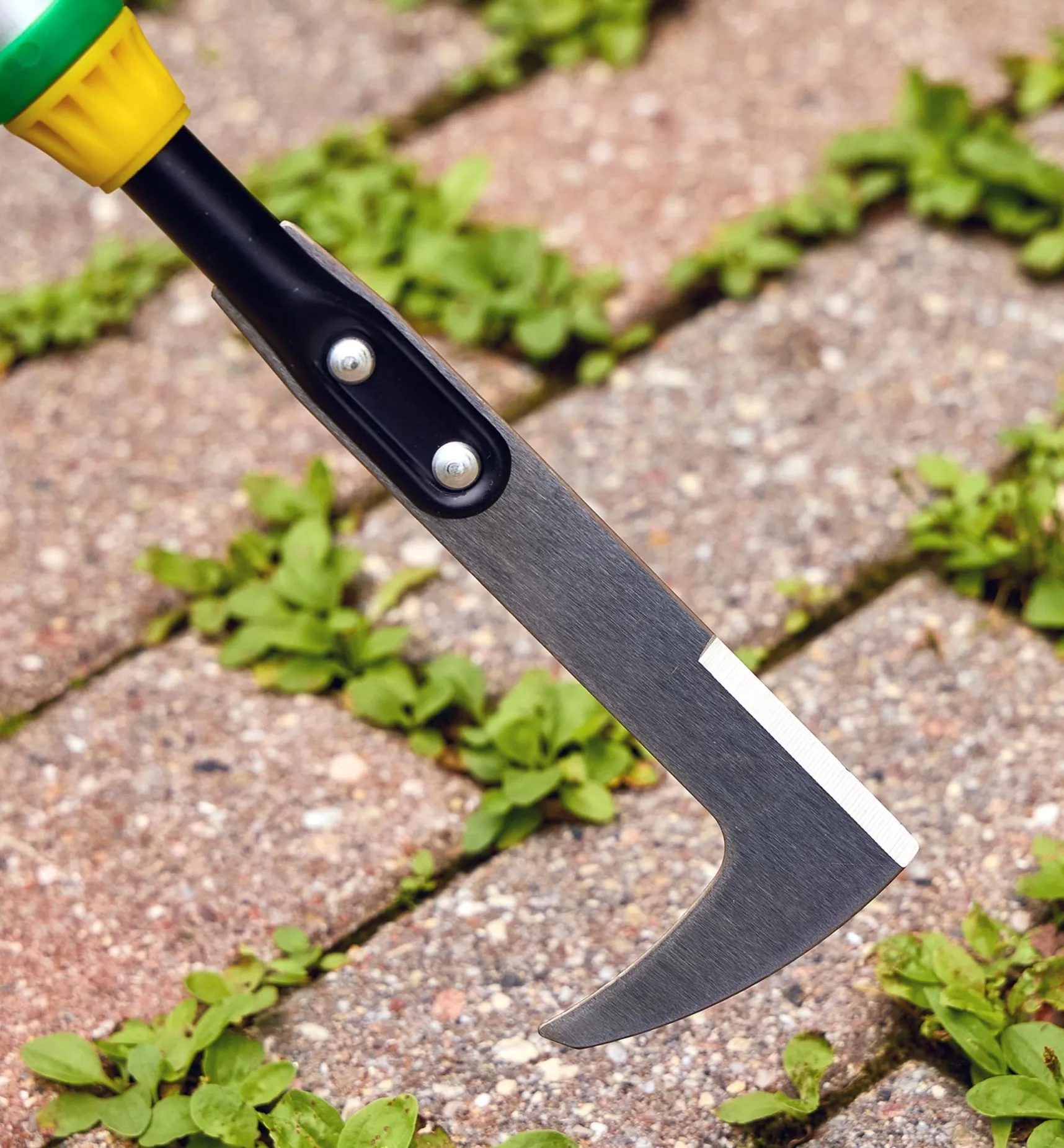 Clearance Telescoping Crack Weeder Weeding