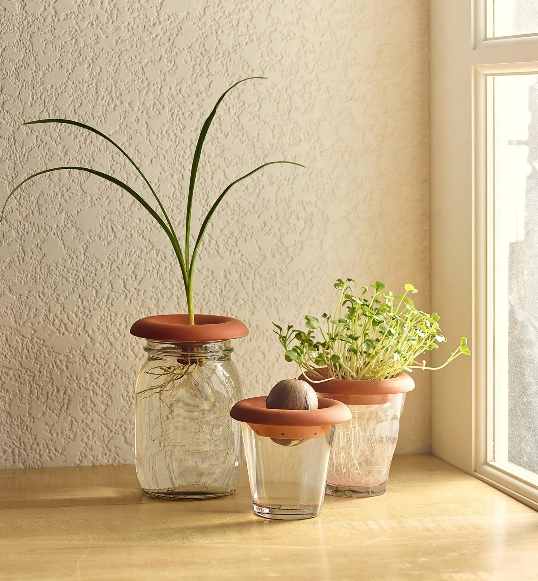 Discount Terra Cotta Seed Sprouters Propagation