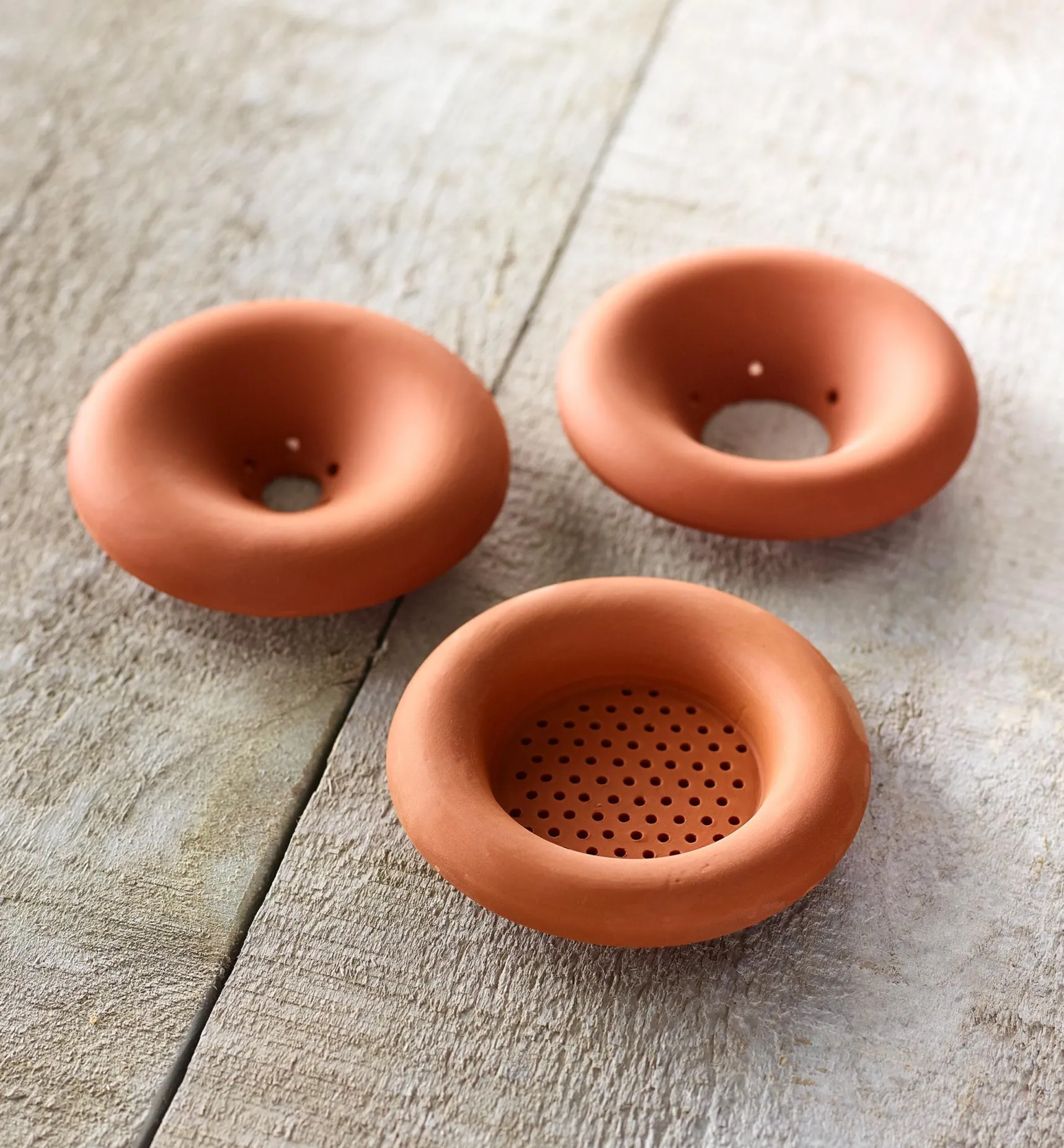 Discount Terra Cotta Seed Sprouters Propagation