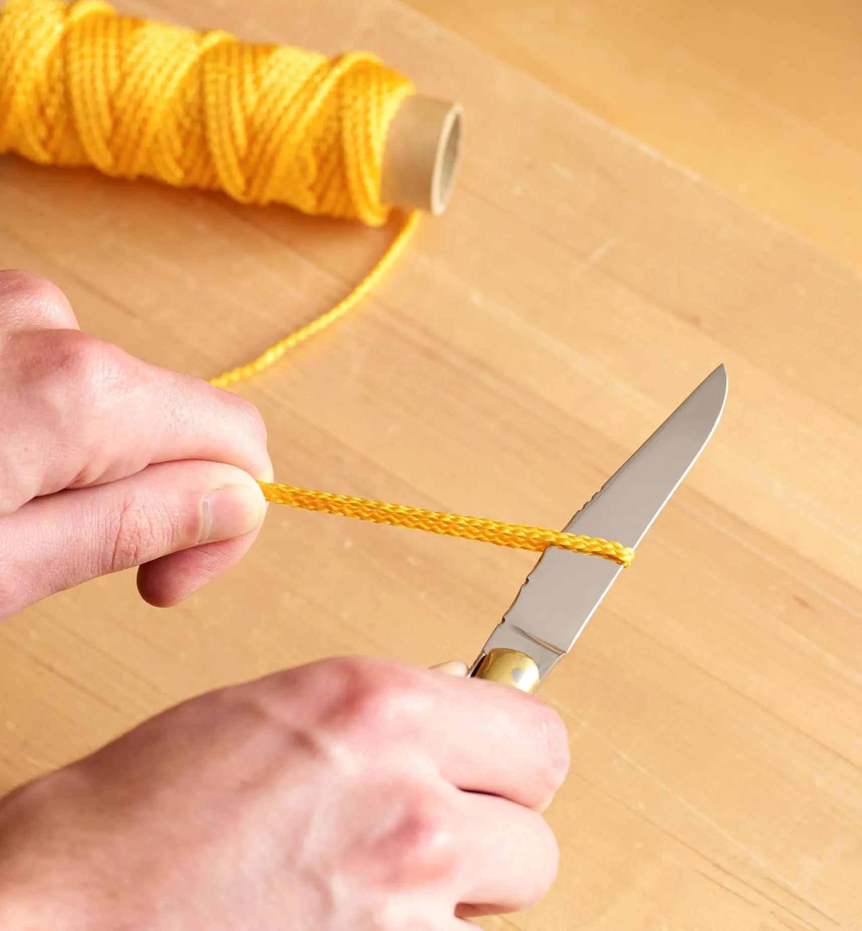 Sale The Laguiole Knife Knives