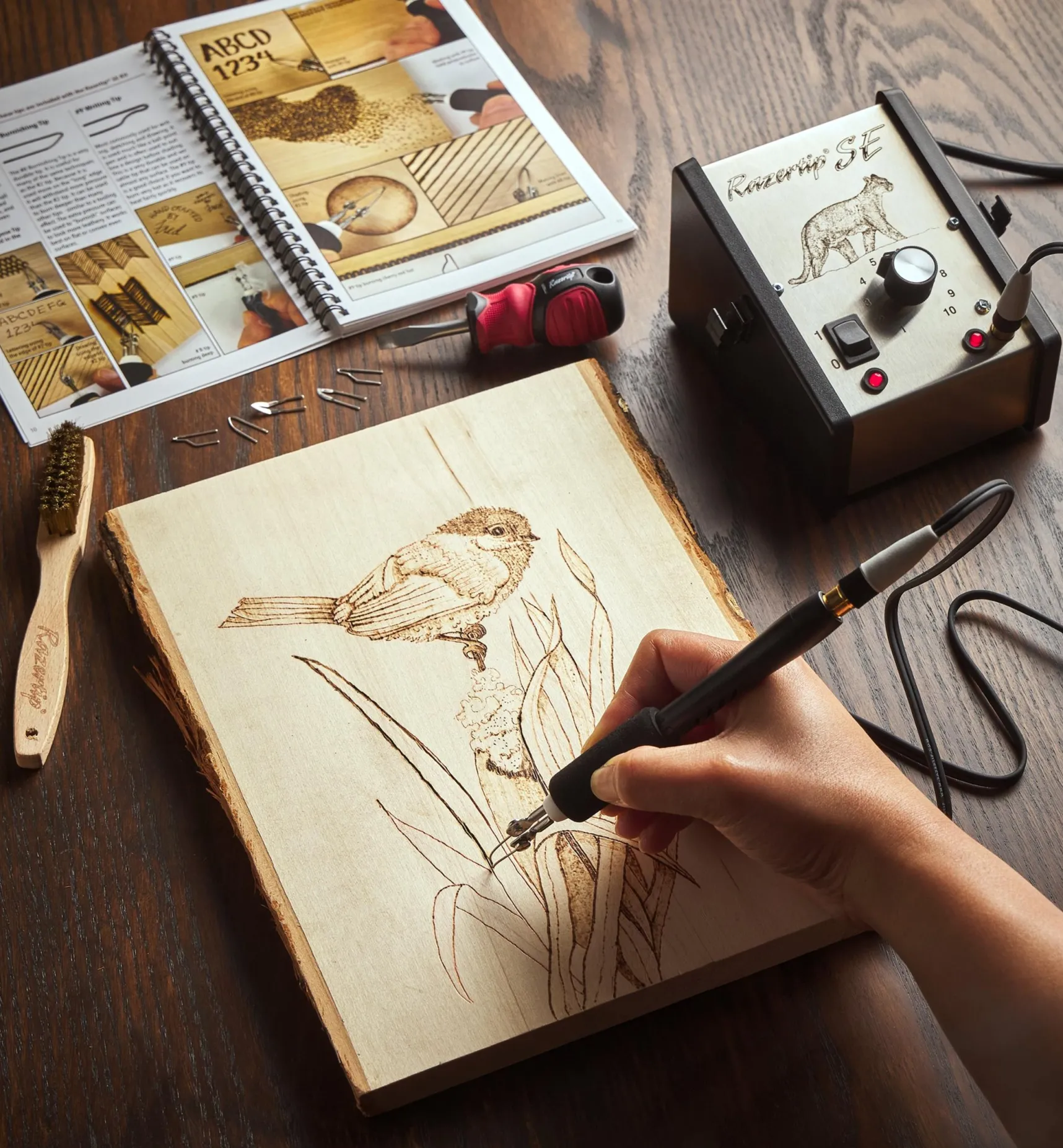 The Razertip SE Wood Burning Kit Power Tools