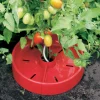 Online Tomato Craters Weeding