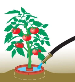 Online Tomato Craters Weeding
