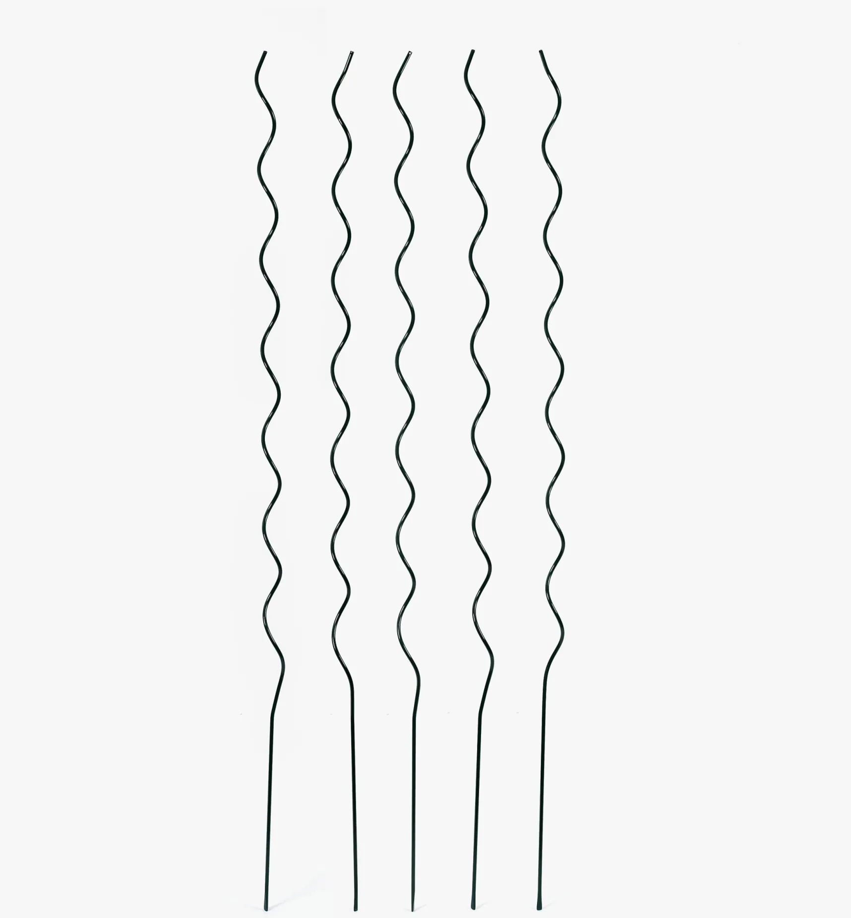 Online Tomato Spirals Stakes
