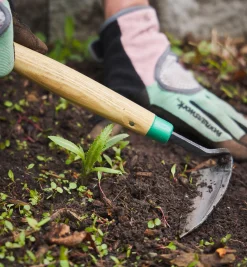 Online Traditional Japanese Weeder Weeding