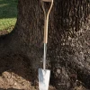 Best Transplant Spade Spades