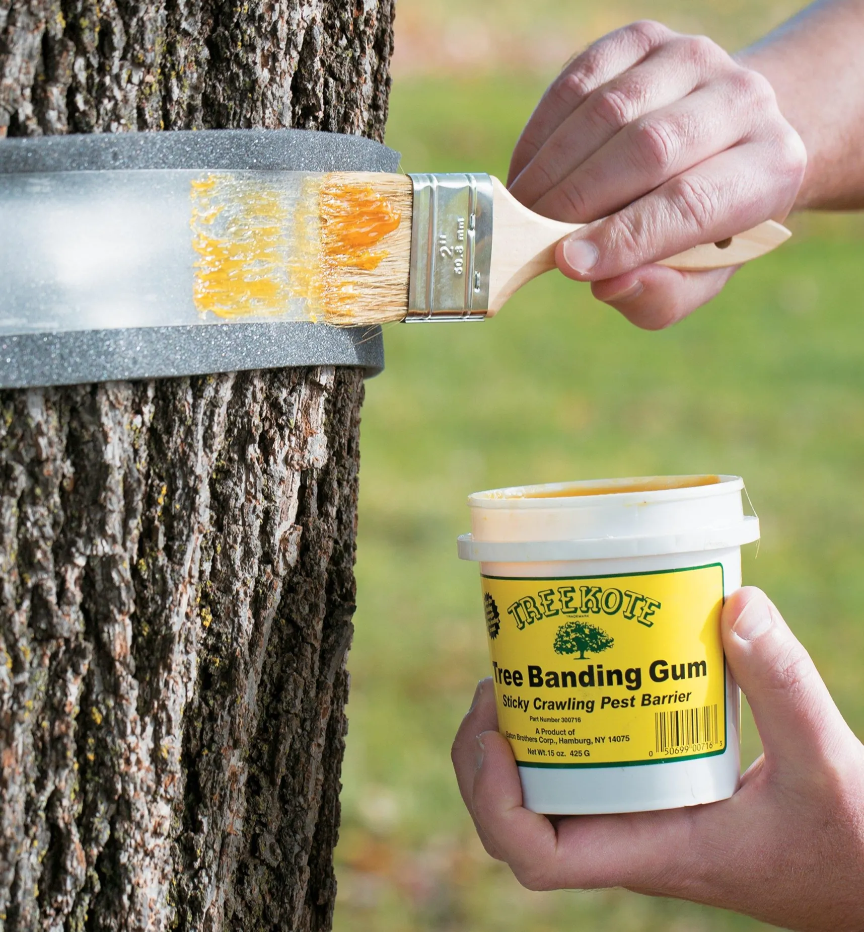 Sale Tree Banding Kit Pest Control