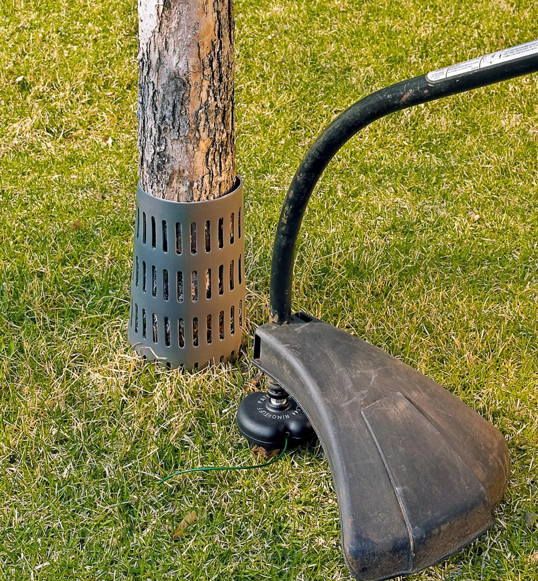 Discount Trunk Guard Plant Protection