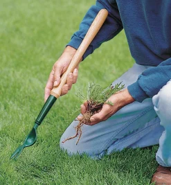 Clearance Ultimate Weeding Kit Weeding