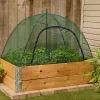 Sale Umbrella Plant Dome Pest Control