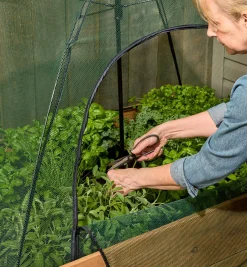 Sale Umbrella Plant Dome Pest Control
