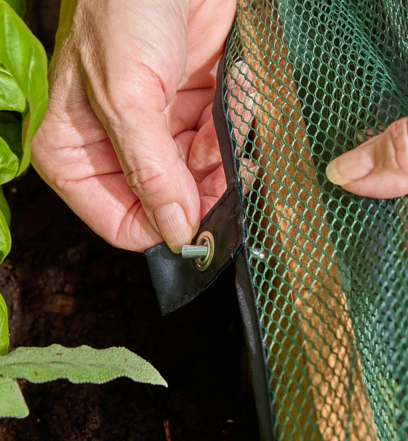 Sale Umbrella Plant Dome Pest Control