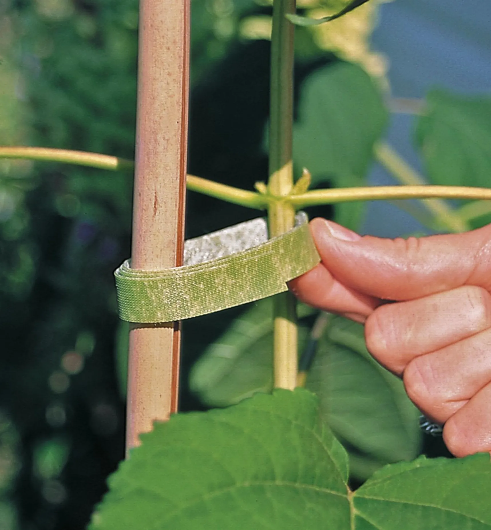 VELCRO® Plant Tie Ties & Clips
