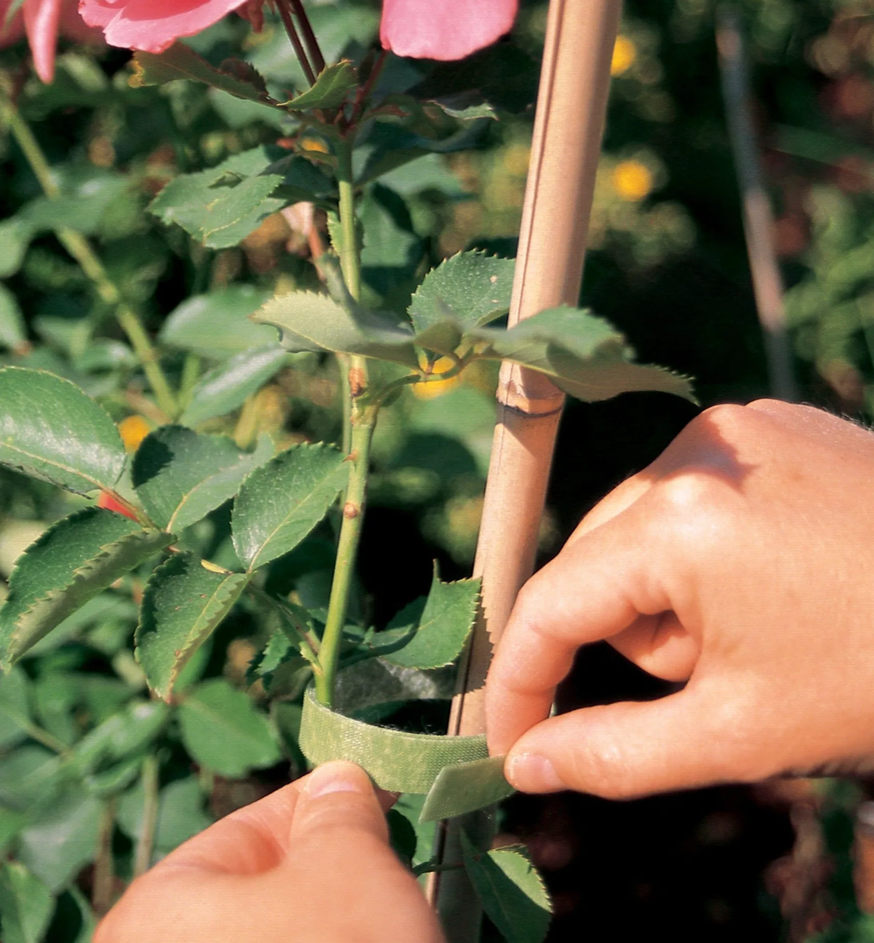 VELCRO® Plant Tie Ties & Clips