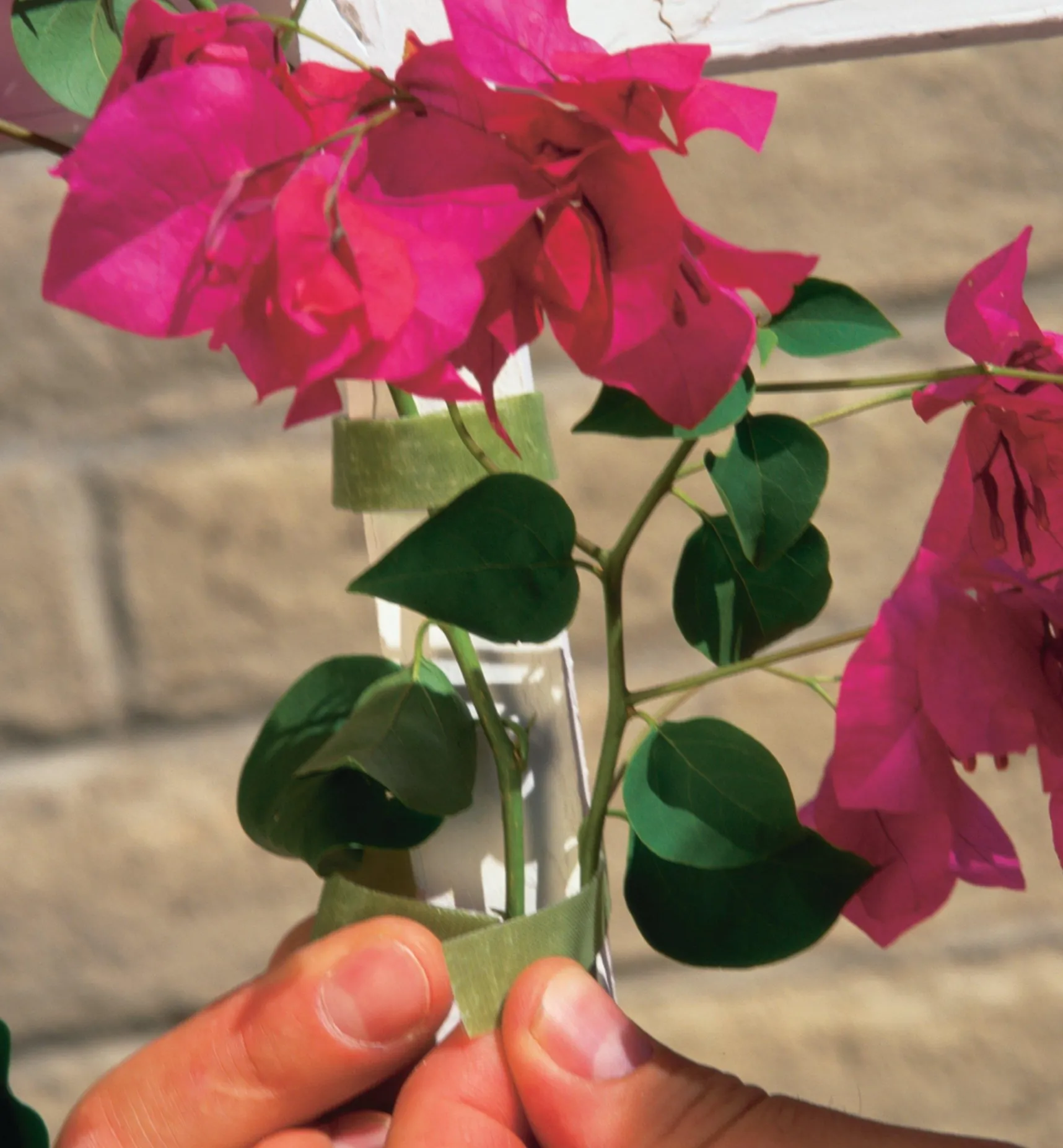 VELCRO® Plant Tie Ties & Clips