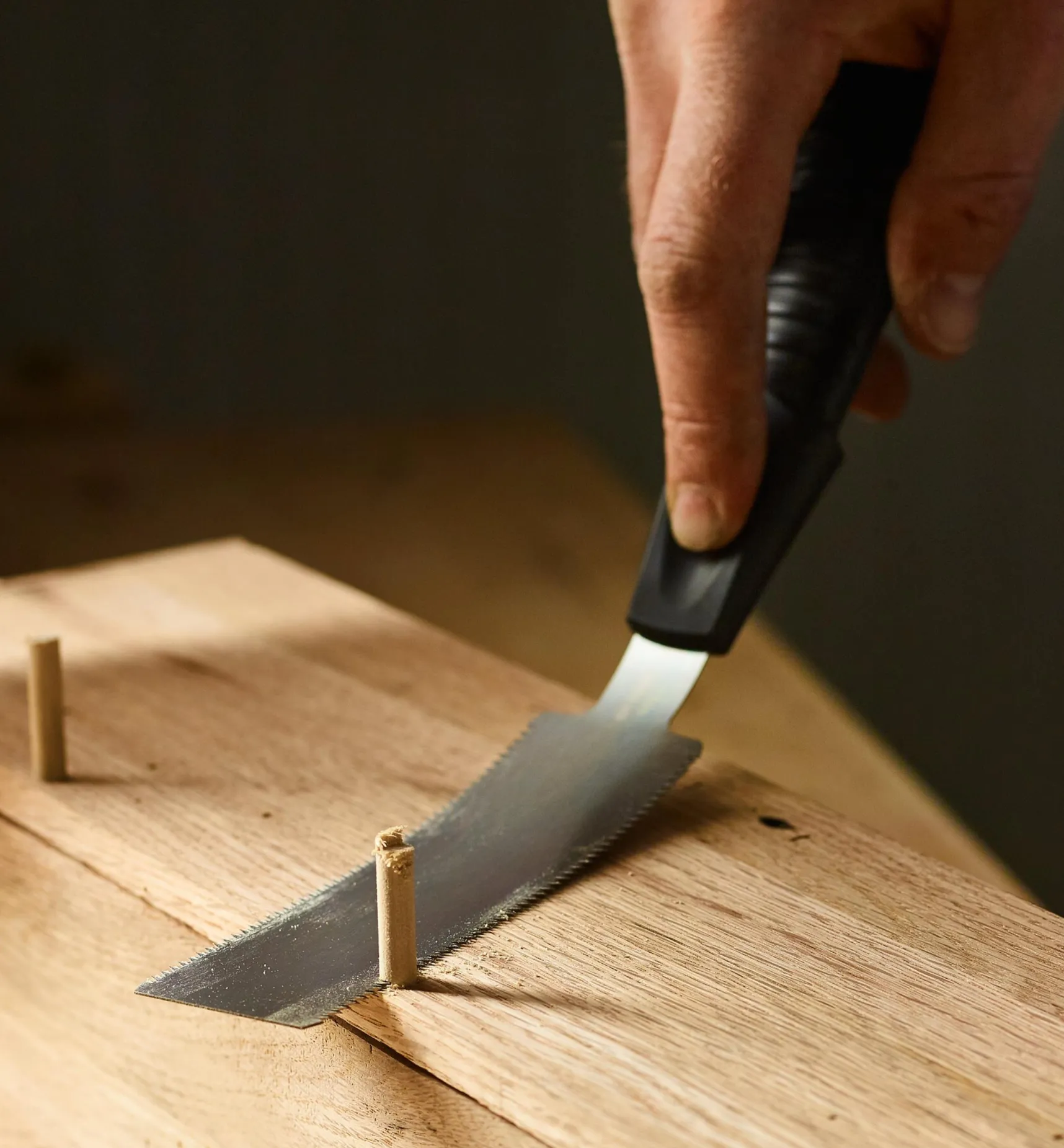 Hot Veritas Double-Edge Flush-Cutting Saw Saws