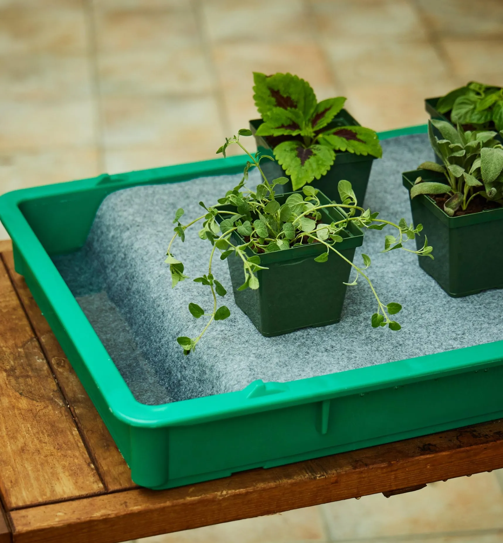 Best Watering Mat Indoor Gardening