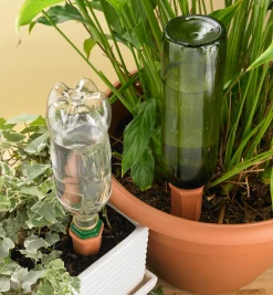Hot Watering Spikes Indoor Gardening