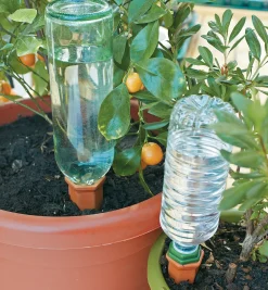 Hot Watering Spikes Indoor Gardening