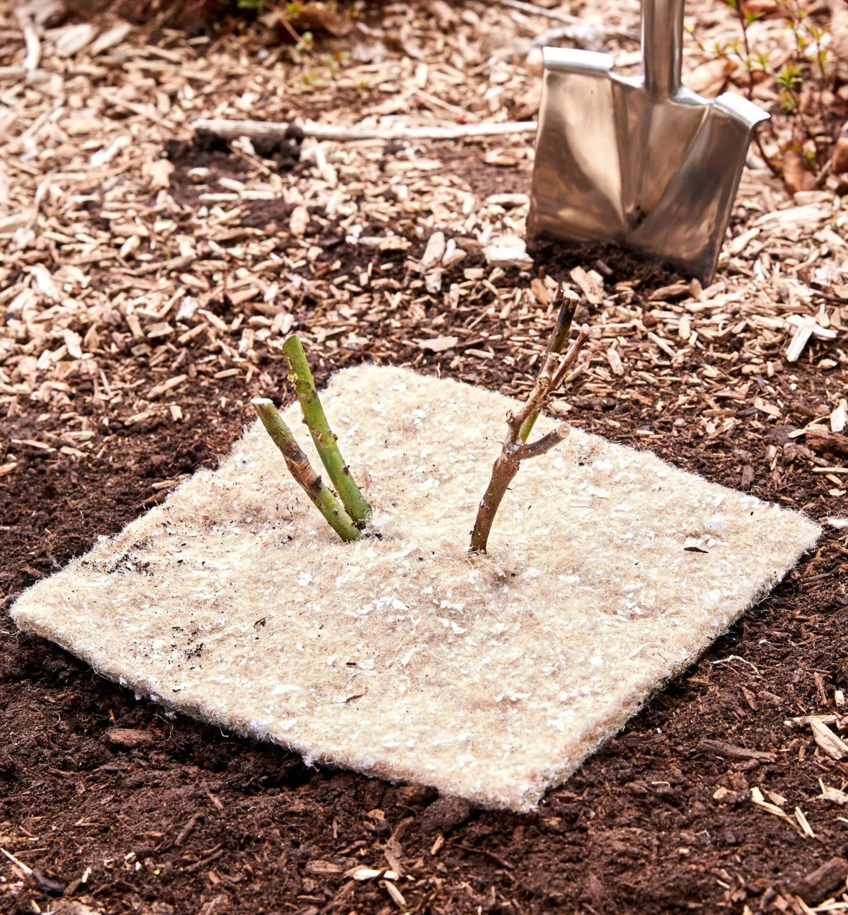 Sale Weed Suppression Squares Weeding
