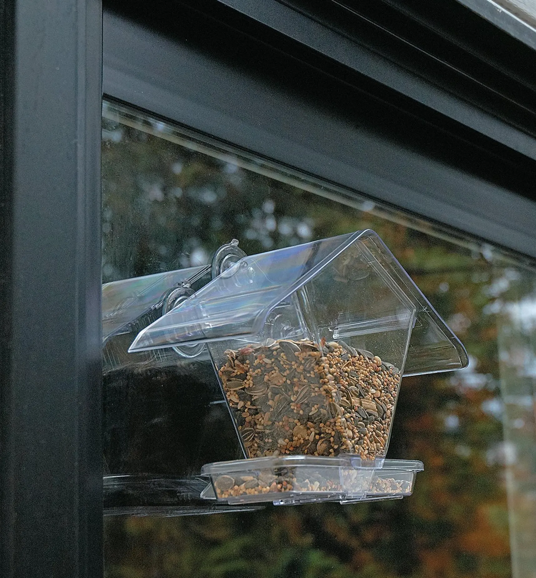 Clearance Window Bird Feeder Birding