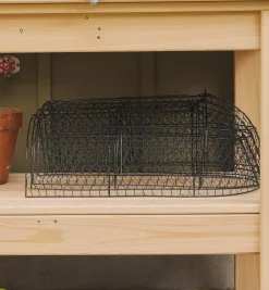 Best Wire Plant Protectors Plant Protection