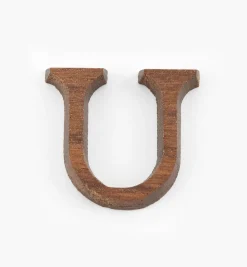 Outlet Wooden Letters & Numerals Project Supplies