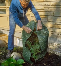 Sale Wrap-Around Shrub Covers Plant Protection